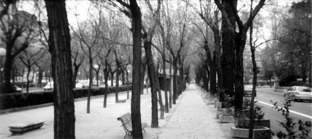 Madrid - La Castellana en invierno