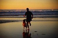 maître et son chien sur la plage