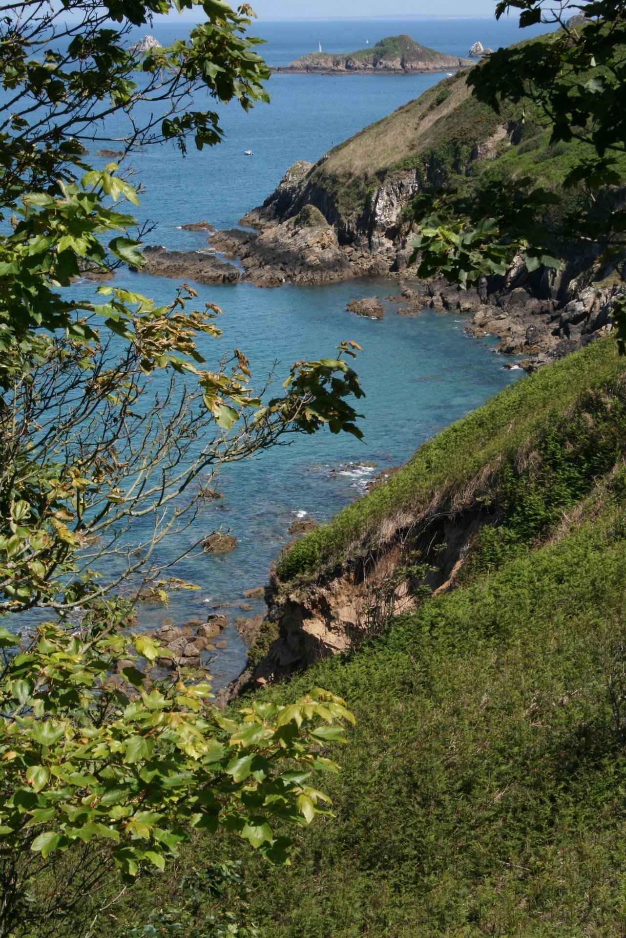 IMG_2776.JPG