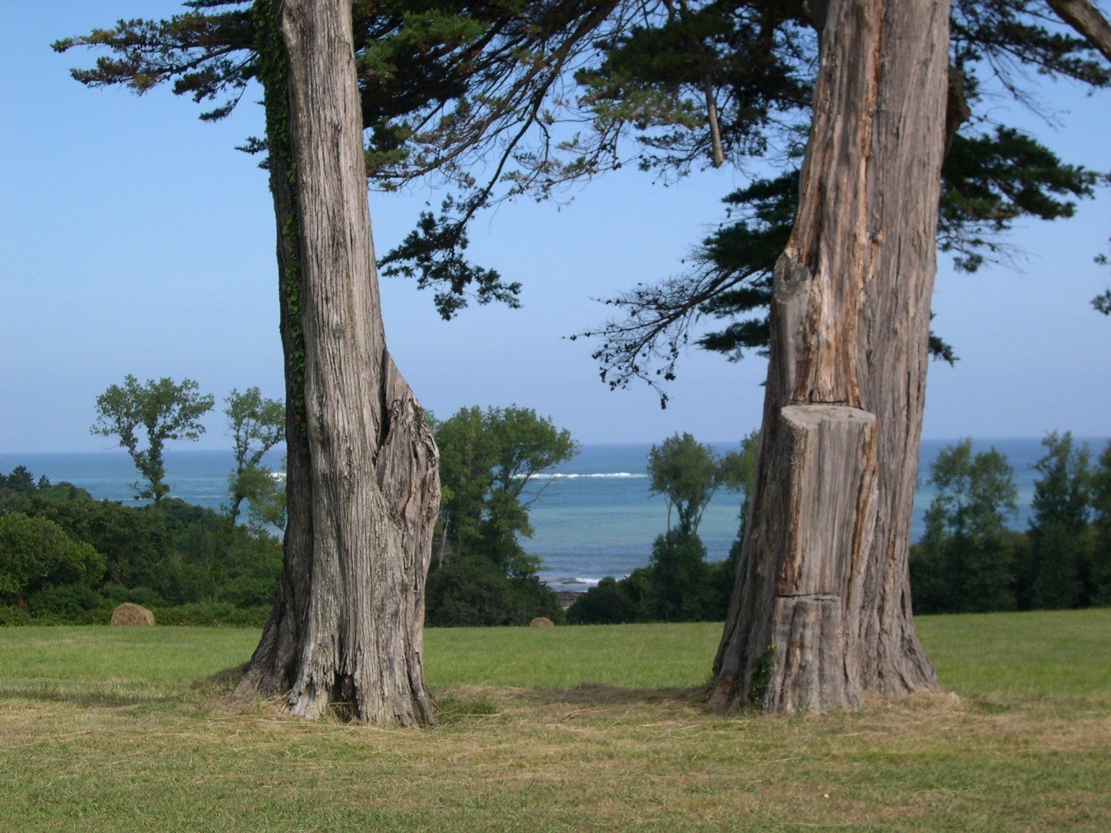 paysbasque025.jpg