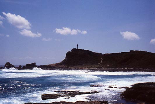 Isla Guadalupe: punta de los Castillos