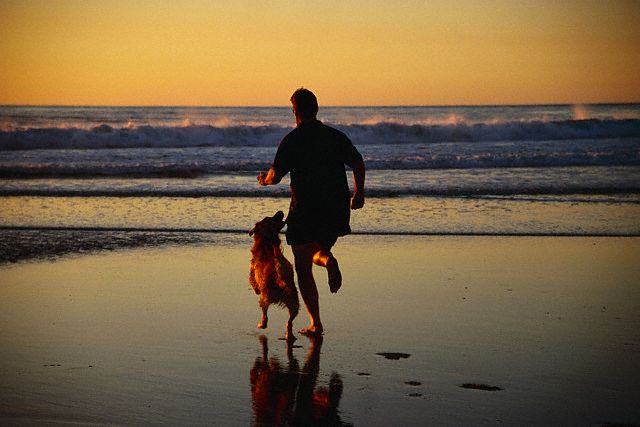 dueño y perro corriendo en la playa