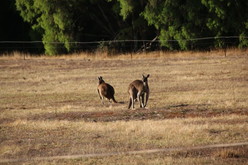 Western Australia 2015