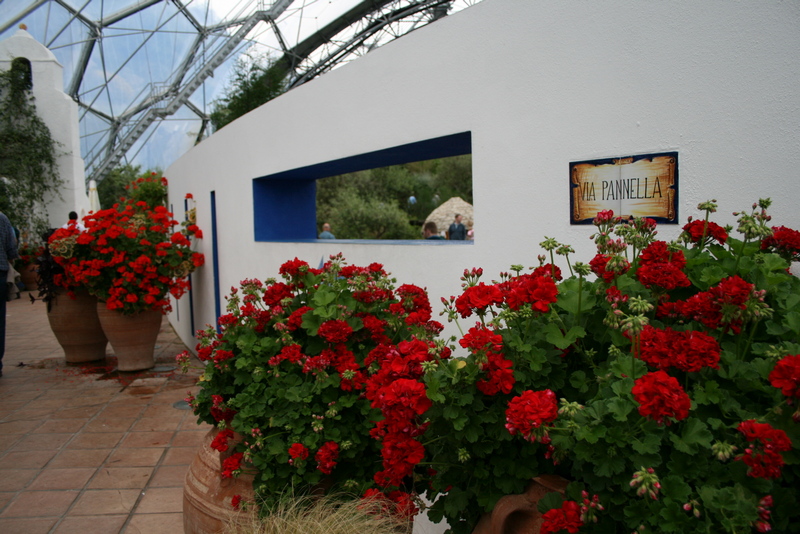 Cornouailles 2008