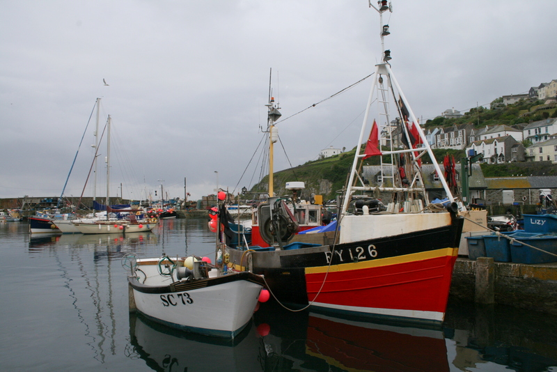 Cornouailles 2008