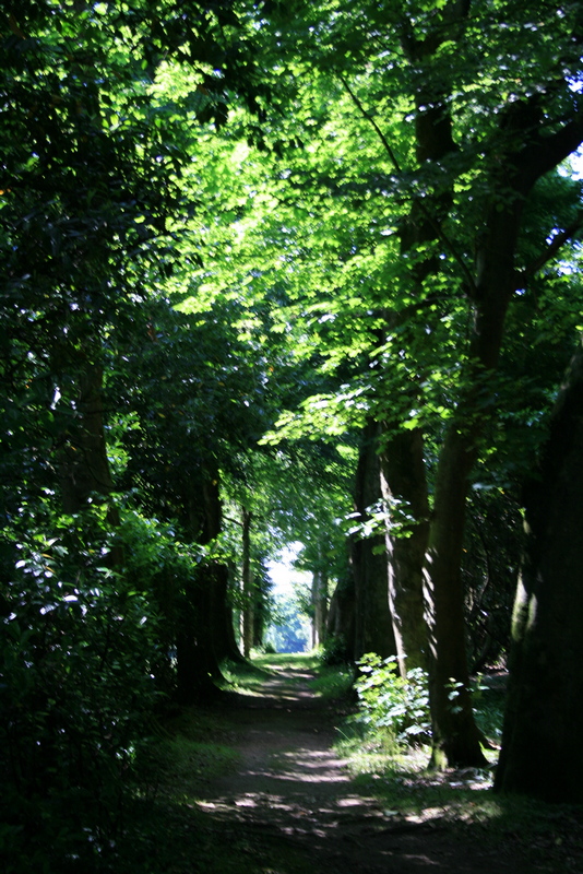 Cornouailles 2008
