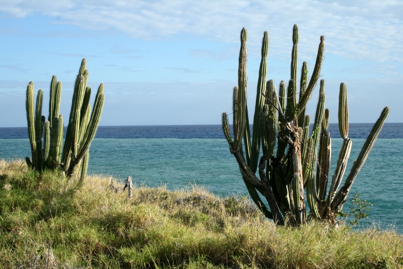 Cuba 2010