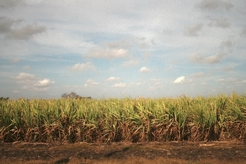 Cuba 2010