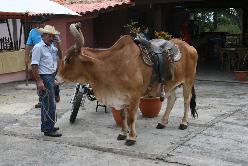 Cuba 2010