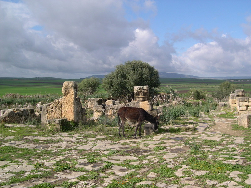 Maroc 2007